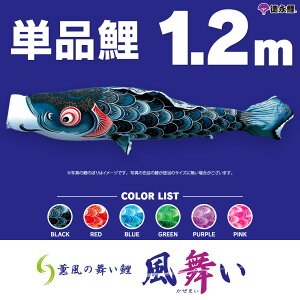 ̂ڂ Pi ̂ڂ  1.2m Pi