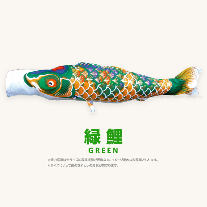 楽天市場】こいのぼり 単品 鯉のぼり 京錦 3m 単品鯉 黒 赤 青 緑 紫 