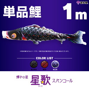 ̂ڂ Pi ̂ڂ ̃XpR[ 1m Pi