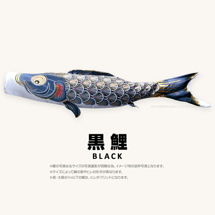 楽天市場】【3/30P最大5倍】 こいのぼり 単品 鯉のぼり 真・太陽鯉 1.5 