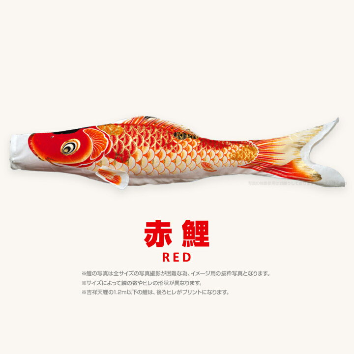 楽天市場】【4/21買い回りP最大3倍】 こいのぼり 単品 鯉のぼり 吉祥天 