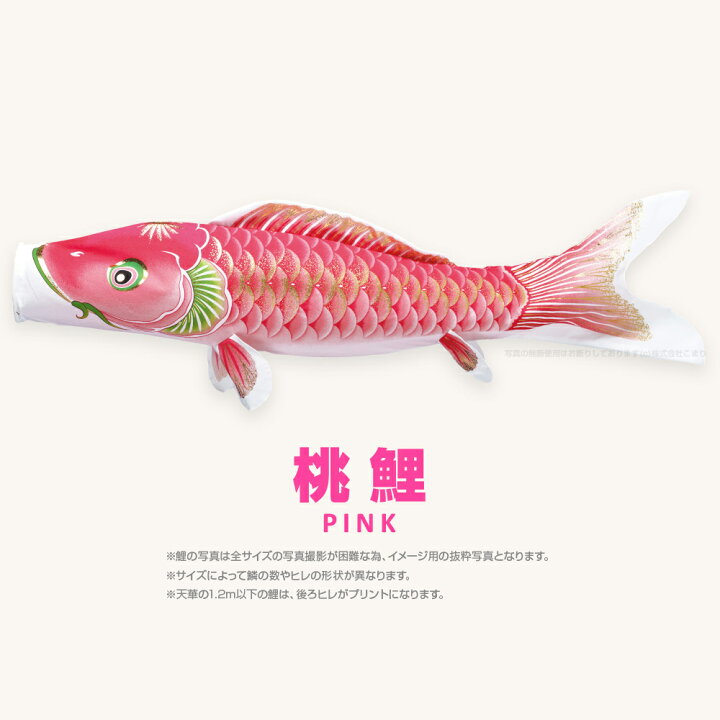 楽天市場】【4/29はP2倍】 こいのぼり 単品 鯉のぼり 天華鯉 0.9m 単品 