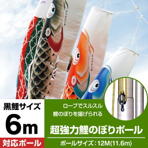 ポール こいのぼり 鯉のぼり 12mの人気商品・通販・価格比較 - 価格.com