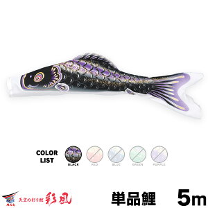 ̂ڂ Pi ̂ڂ ʕ 5m Pi