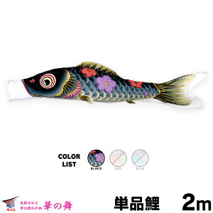 ̂ڂ Pi ̂ڂ ؂̕ 2m Pi