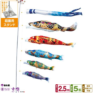 îڂ ь 2.5m 8_Zbg 뉀pX^hZbg 2026Nߋ [߂̐ߋ ǂ̓ ̂ڂ