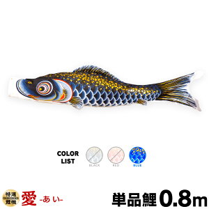 ̂ڂ Pi ̂ڂ  0.8m Pi