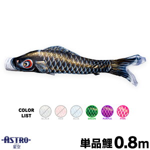 ̂ڂ Pi ̂ڂ ASTRO  0.8m Pi