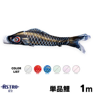 ̂ڂ Pi ̂ڂ ASTRO  1m Pi