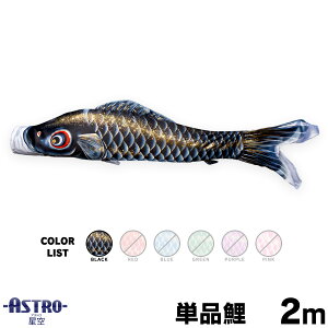 ̂ڂ Pi ̂ڂ ASTRO  2m Pi