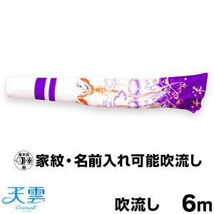 ̂ڂ Pi ̂ڂ V_yRgCz CONTRAIL/V_ 6m 