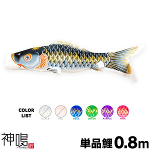 ̂ڂ Pi ̂ڂ _ KAMUI 0.8m Pi