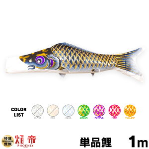 ̂ڂ Pi ̂ڂ tFjbNX 1m Pi