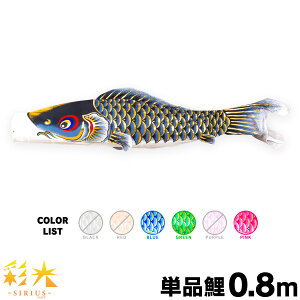 ̂ڂ Pi ̂ڂ ʌ SIRIUS 0.8m Pi