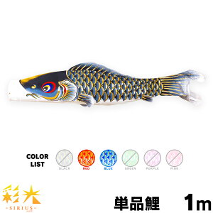 ̂ڂ Pi ̂ڂ ʌ SIRIUS 1m Pi