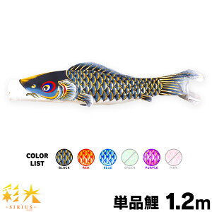 ̂ڂ Pi ̂ڂ ʌ SIRIUS 1.2m Pi