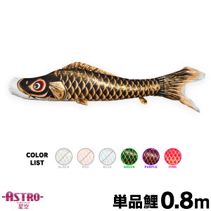 ̂ڂ Pi ̂ڂ ASTRO ߂񐯋 0.8m Pi