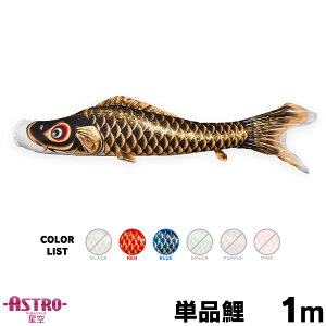 ̂ڂ Pi ̂ڂ ASTRO ߂񐯋 1m Pi