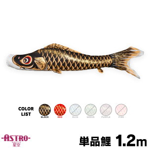 ̂ڂ Pi ̂ڂ ASTRO ߂񐯋 1.2m Pi