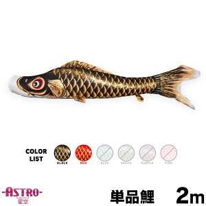 ̂ڂ Pi ̂ڂ ASTRO ߂񐯋 2m Pi