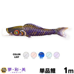 ̂ڂ Pi ̂ڂ EʁE ߂ 1m Pi