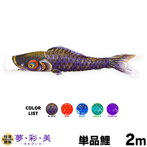 ̂ڂ Pi ̂ڂ EʁE ߂ 2m Pi