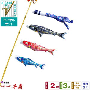 îڂ  2m 6_Zbg x_pCZbg 2026Nߋ [߂̐ߋ ǂ̓ ̂ڂ