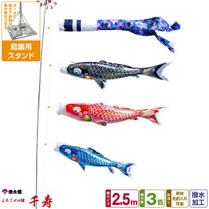 îڂ  2.5m 6_Zbg 뉀pX^hZbg 2026Nߋ [߂̐ߋ ǂ̓ ̂ڂ