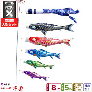 îڂ  8m 8_Zbg 뉀p^Zbg |[ʔ 2025Nߋ [߂̐ߋ ǂ̓ ̂ڂ