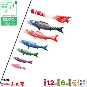 îڂ ^z 1.2m 9_Zbg ɂfRZbg 2026Nߋ [߂̐ߋ ǂ̓ ̂ڂ