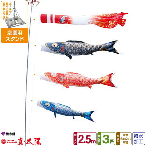 îڂ ^z 2.5m 6_Zbg 뉀pX^hZbg 2026Nߋ [߂̐ߋ ǂ̓ ̂ڂ