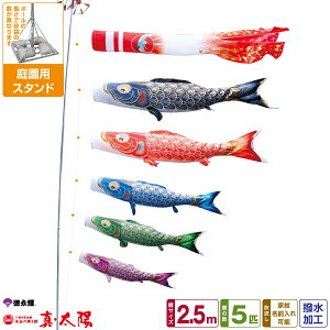 îڂ ^z 2.5m 8_Zbg 뉀pX^hZbg 2025Nߋ [߂̐ߋ ǂ̓ ̂ڂ