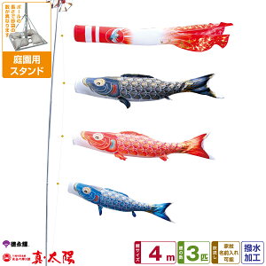 îڂ ^z 4m 6_Zbg 뉀pX^hZbg 2025Nߋ [߂̐ߋ ǂ̓ ̂ڂ