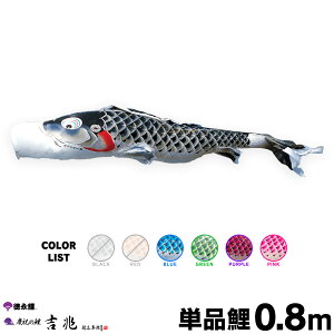 ̂ڂ Pi ̂ڂ g 0.8m Pi    sN