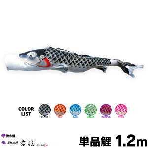 ̂ڂ Pi ̂ڂ g 1.2m Pi      sN