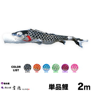 ̂ڂ Pi ̂ڂ g 2m Pi      sN