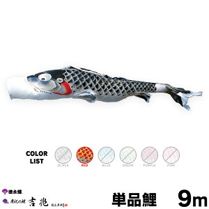 ̂ڂ Pi ̂ڂ g 9m Pi 