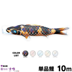 ̂ڂ Pi ̂ڂ  10m Pi 