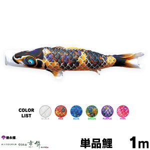 ̂ڂ Pi ̂ڂ ߂񋞋 1m Pi     sN