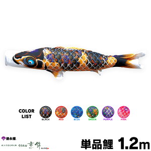 ̂ڂ Pi ̂ڂ ߂񋞋 1.2m Pi      sN