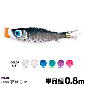 ̂ڂ Pi ̂ڂ ͂邩 0.8m Pi    sN