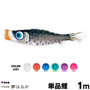 ̂ڂ Pi ̂ڂ ͂邩 1m Pi     sN