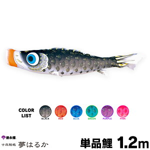 ̂ڂ Pi ̂ڂ ͂邩 1.2m Pi      sN