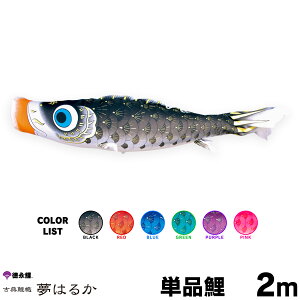 ̂ڂ Pi ̂ڂ ͂邩 2m Pi      sN