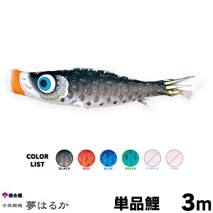 ̂ڂ Pi ̂ڂ ͂邩 3m Pi    