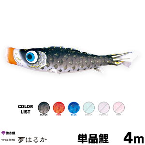 ̂ڂ Pi ̂ڂ ͂邩 4m Pi   