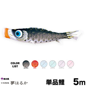 ̂ڂ Pi ̂ڂ ͂邩 5m Pi  