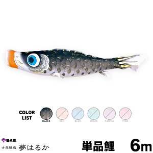 ̂ڂ Pi ̂ڂ ͂邩 6m Pi 