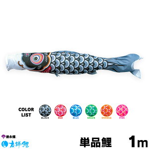 ̂ڂ Pi ̂ڂ FT 1m Pi     sN 