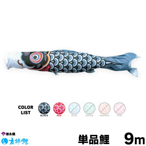 ̂ڂ Pi ̂ڂ FT 9m Pi  